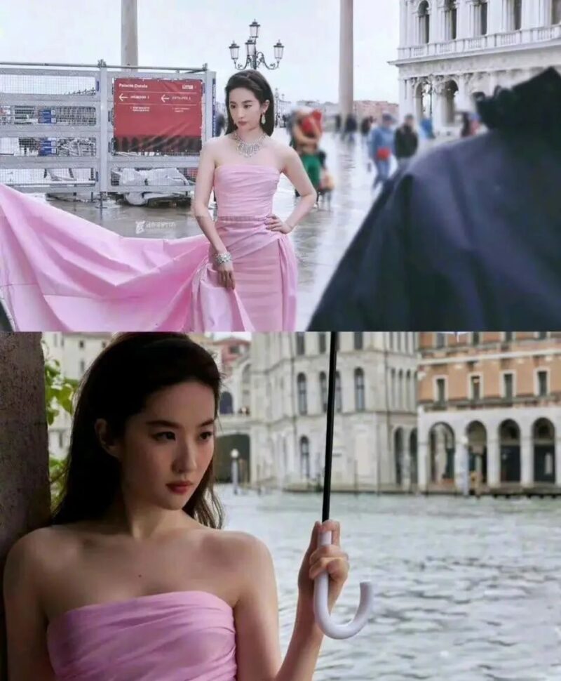 一身粉色礼服裙的刘亦菲